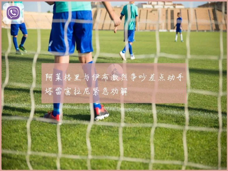 阿莱格里与伊布激烈争吵差点动手塔雷富拉尼紧急劝解