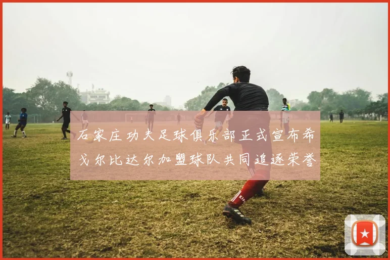石家庄功夫足球俱乐部正式宣布希戈尔比达尔加盟球队共同追逐荣誉